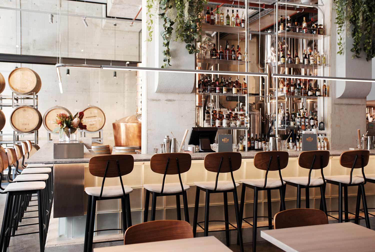 Sydney Networking Drinks