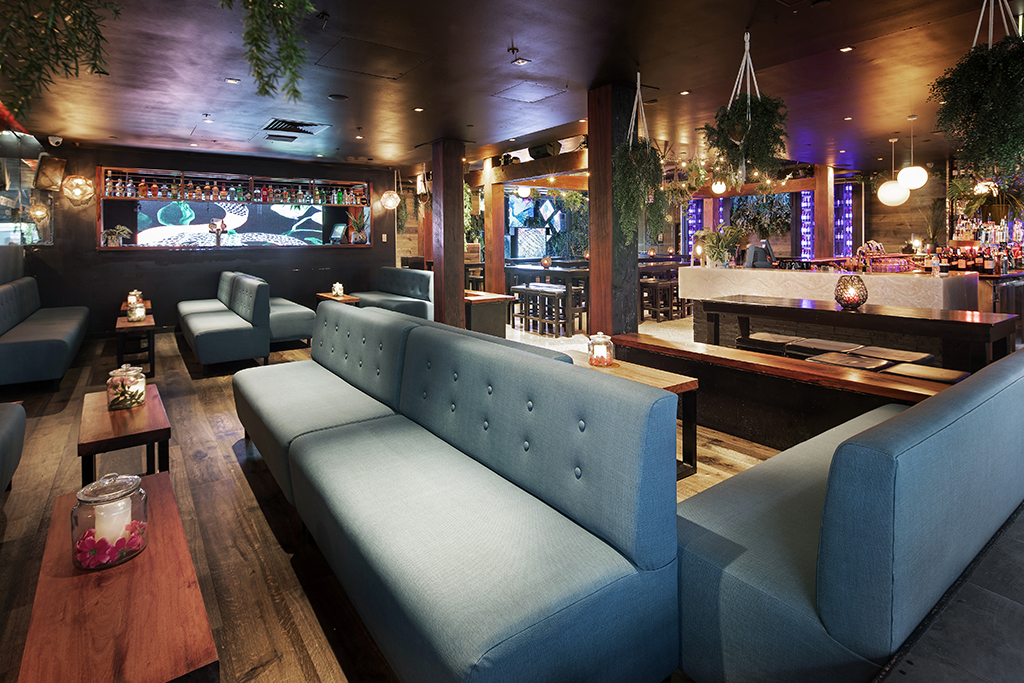Melbourne Networking Drinks